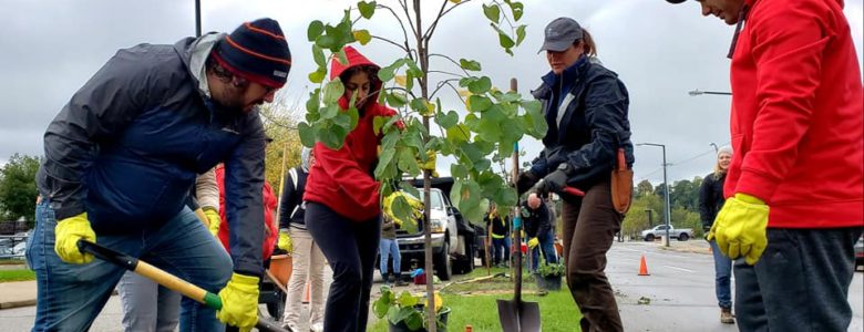 Downtown Youngstown Partnership Adds 18 New Street Trees