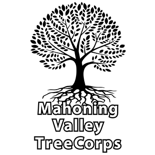 TreeCorpsSq320
