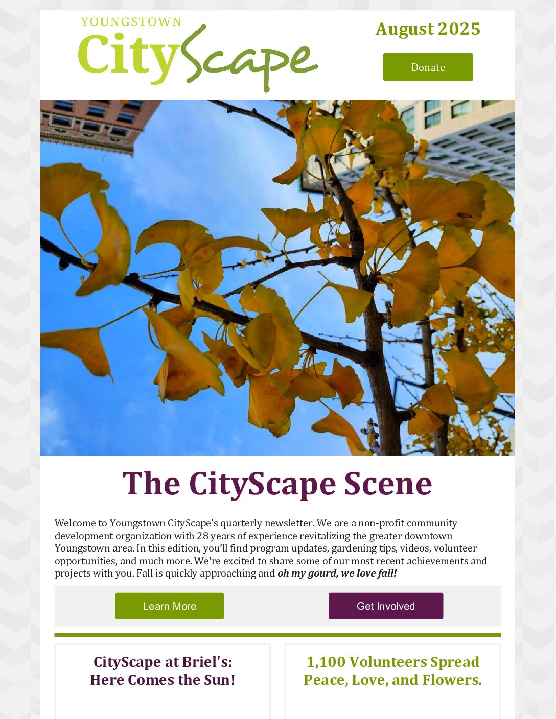 3rd Quarter Newsletter