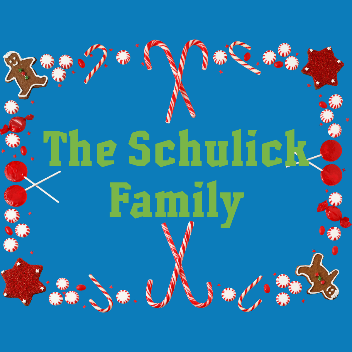 Schulick FAmily